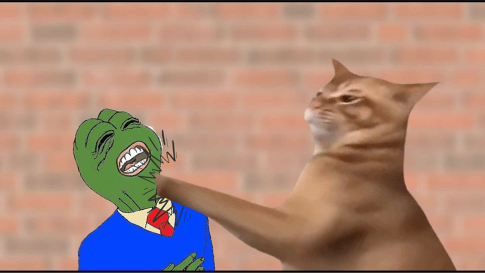 Catslap